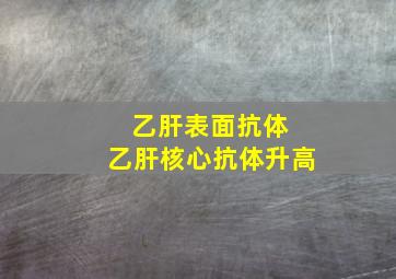 乙肝表面抗体 乙肝核心抗体升高